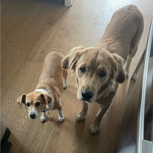 Meet your Posher, Adrienne - Picture 5 of 7